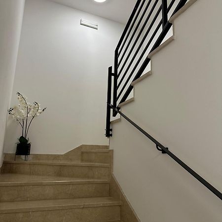 Apartmani Vice 布雷拉 外观 照片