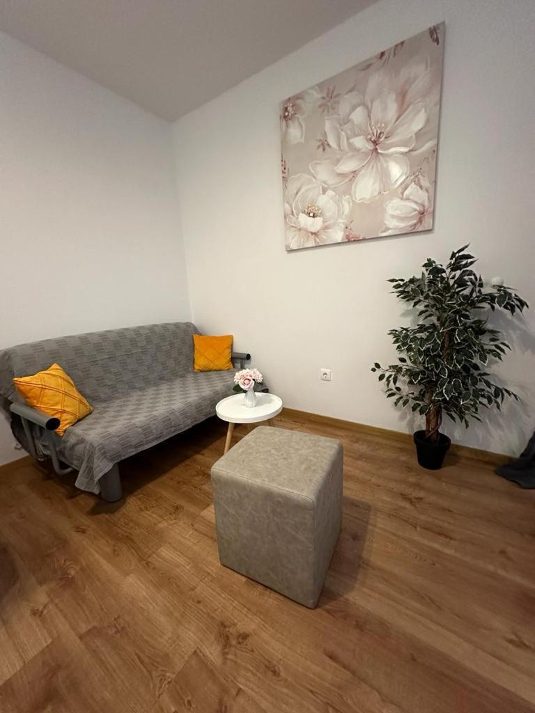 Apartmani Vice 布雷拉 外观 照片